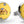 Load image into Gallery viewer, Horsin&#39; Around: Cufflinks - Yellow
