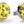 Load image into Gallery viewer, Hazard on Eight: Cufflinks - Yellow/Blue
