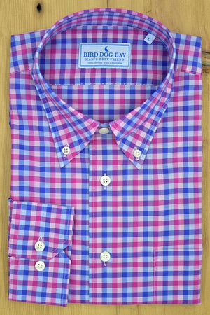 Stirling: Button Down Shirt