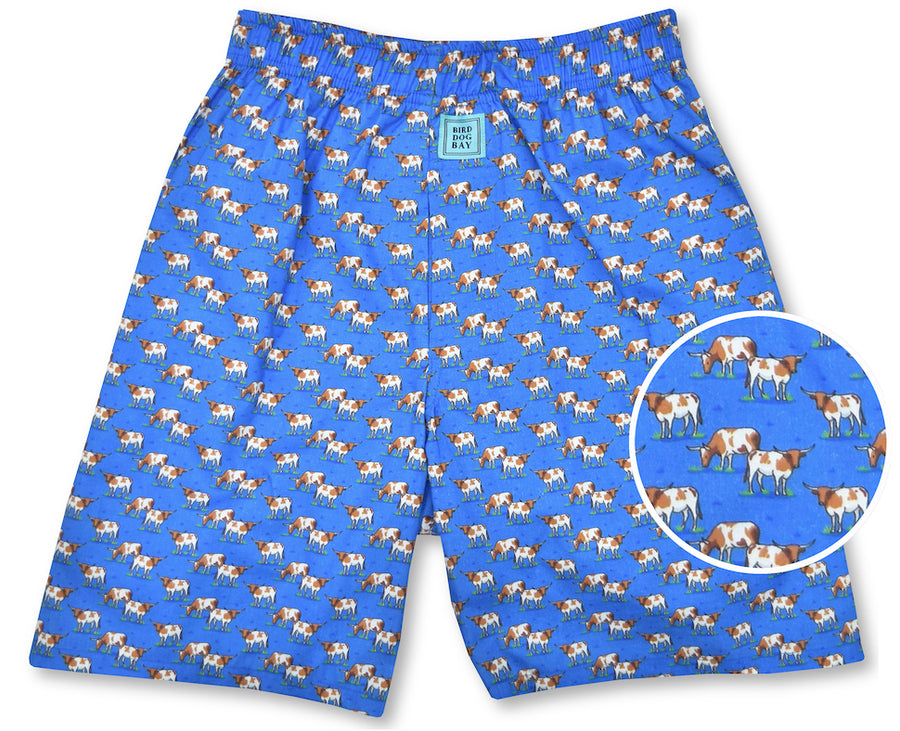 Longhorns: Boxers - Blue (S & XL)