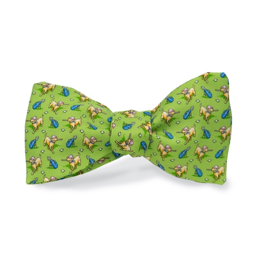 Canine Caddy: Bow Tie - Lime