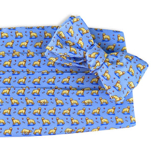 Puppy Love: Cummerbund Set - Light Blue