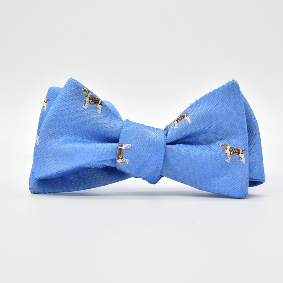 Springer Spaniel: Bow Tie - Light Blue