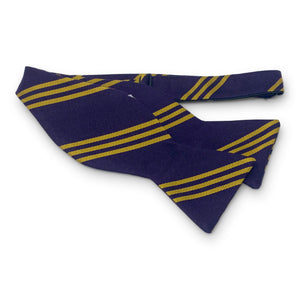 College Collection Stripes: Bow - Purple/Gold