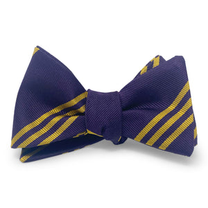 College Collection Stripes: Bow - Purple/Gold