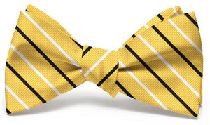 Lewis: Bow Tie - Yellow/Black