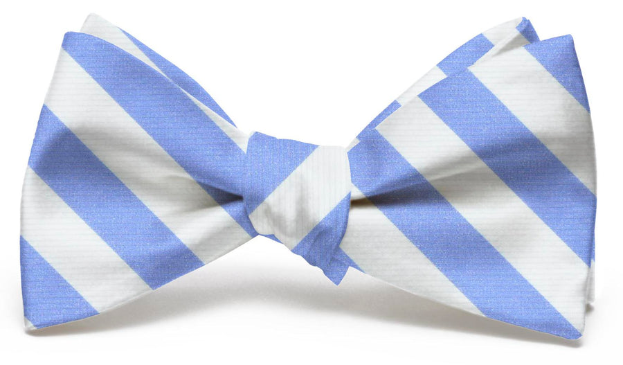 Newman: Bow Tie - Blue/White