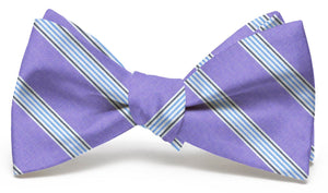 Catalina: Bow Tie - Violet/Blue