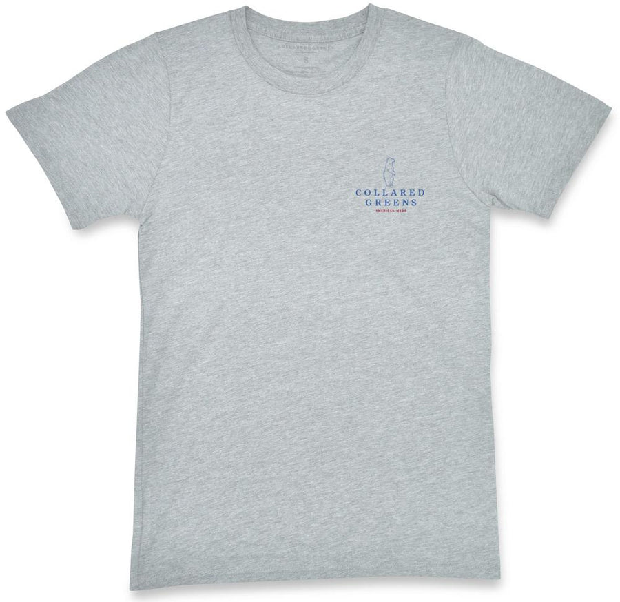 Aviator Lab: Short Sleeve T-Shirt - Gray