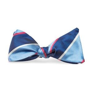 Warrenton: Bow Tie - Blue/Navy