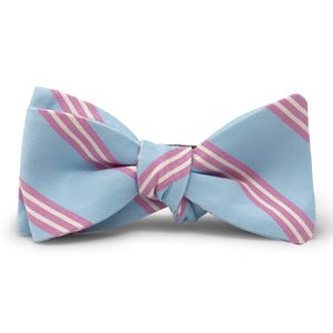 Stafford: Bow Tie - Light Blue/Pink