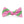 Load image into Gallery viewer, Franklin: Bow Tie - Pink/Lime
