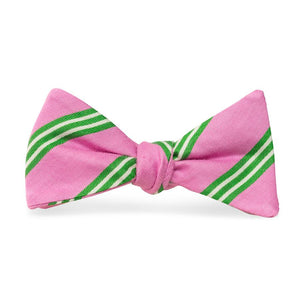 Franklin: Bow Tie - Pink/Lime