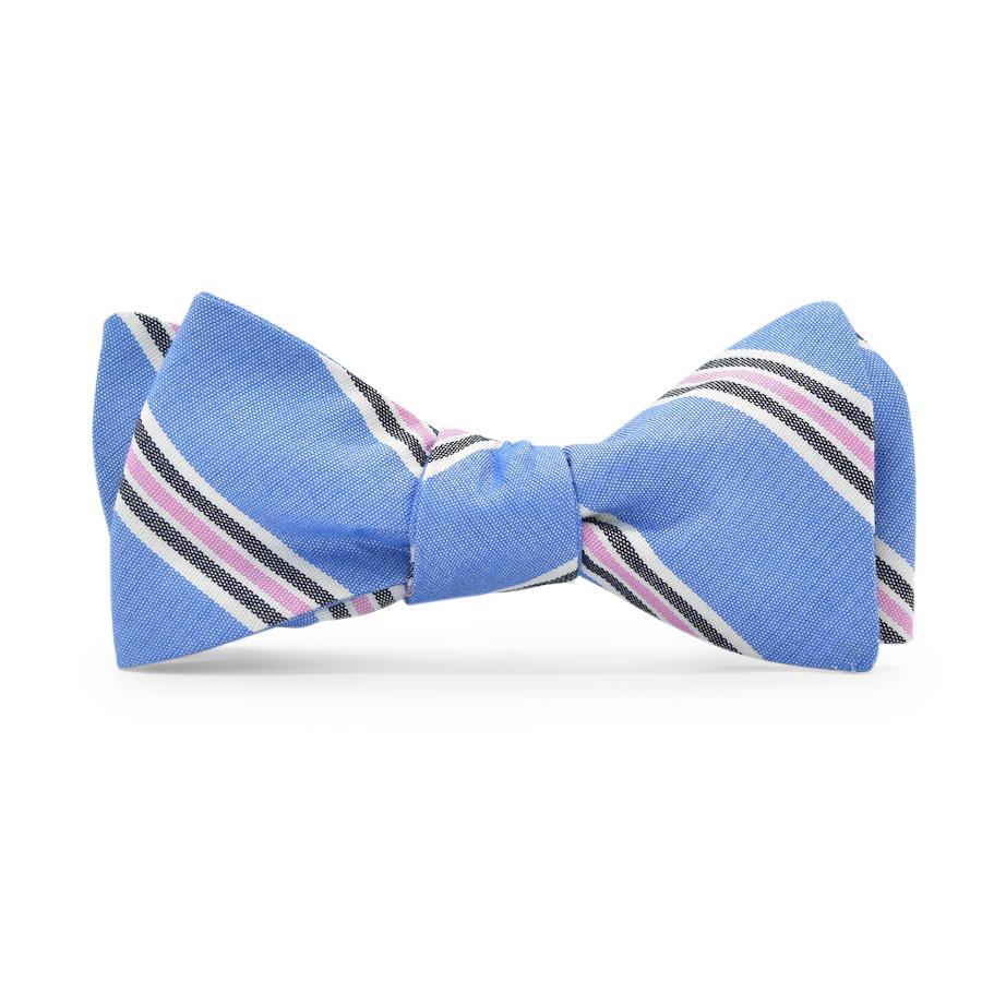 Rockport: Bow Tie - Blue/Pink