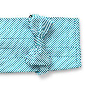 Signature Stripe: Cummerbund Set - Turquoise