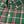 Load image into Gallery viewer, Marion: Brookline Button Down Shirt - Green (S &amp; L)

