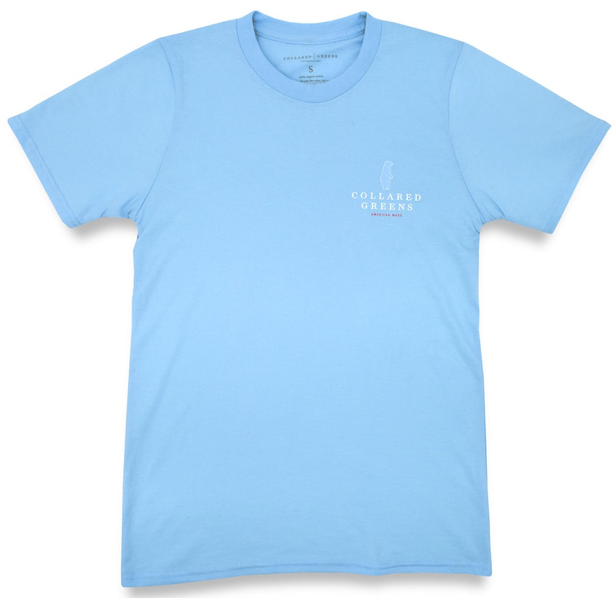 Plain Short Sleeve T-Shirt Carolina Blue - Billion Creation