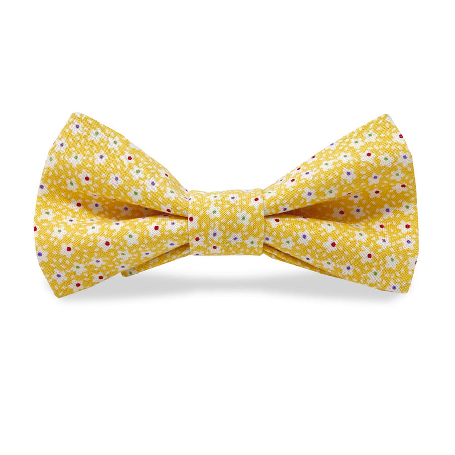Floret: Boy's Carolina Cotton Bow Tie - Yellow