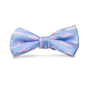 Trout: Boys Bow Tie - Sky