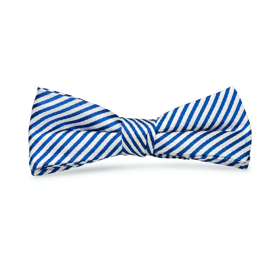 Signature Stripe: Boys Bow Tie - Navy