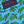 Load image into Gallery viewer, Turtle Tour: Swim Trunks - Turquoise
