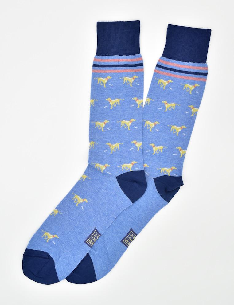 Lucky Labs: Socks - Blue/Yellow