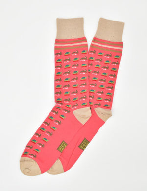 Tortoise & Hare: Socks - Coral