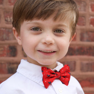 Seersucker: Boy's Carolina Cotton Bow Tie - Red, White, and Blue